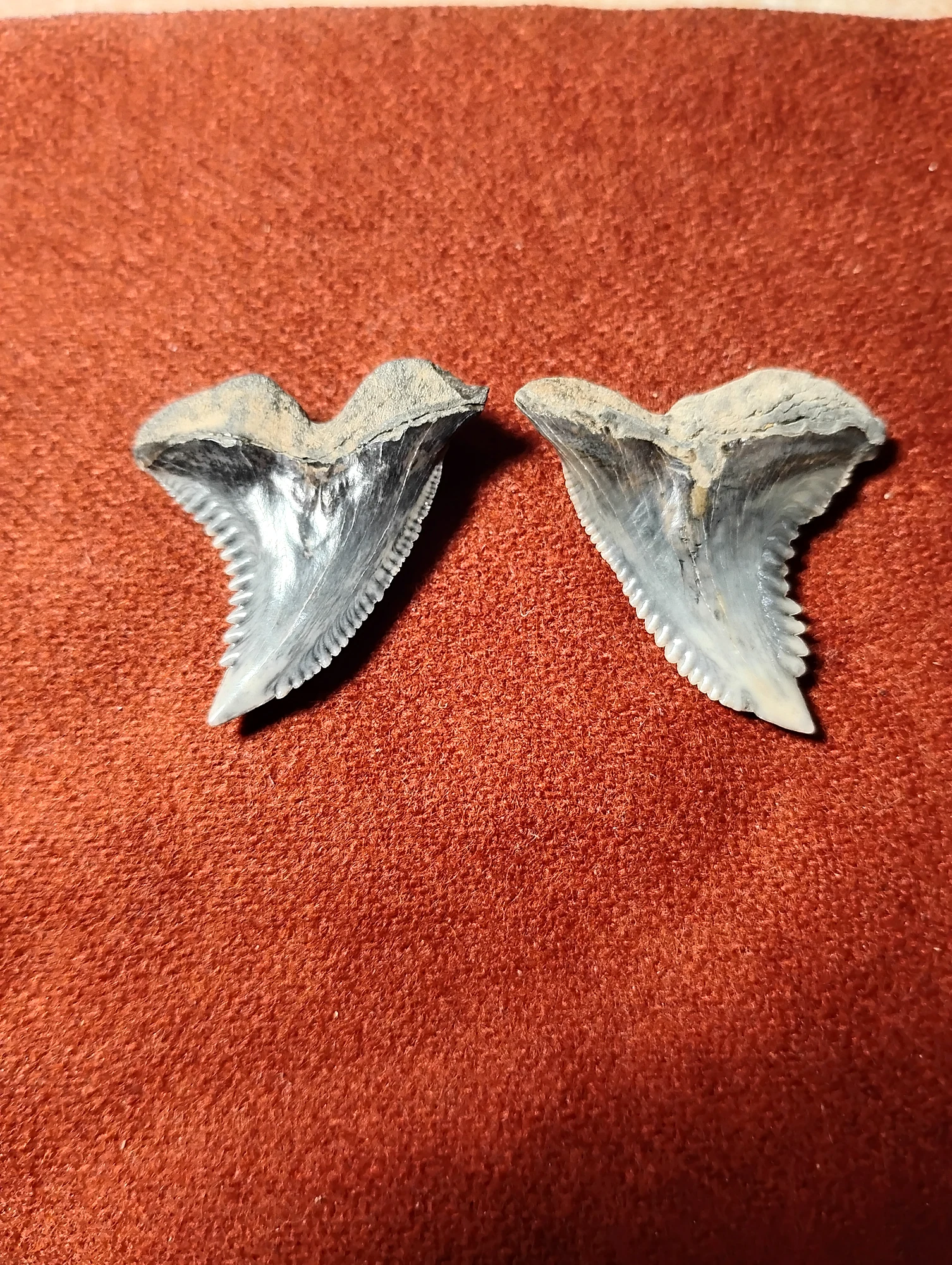 Angle 6