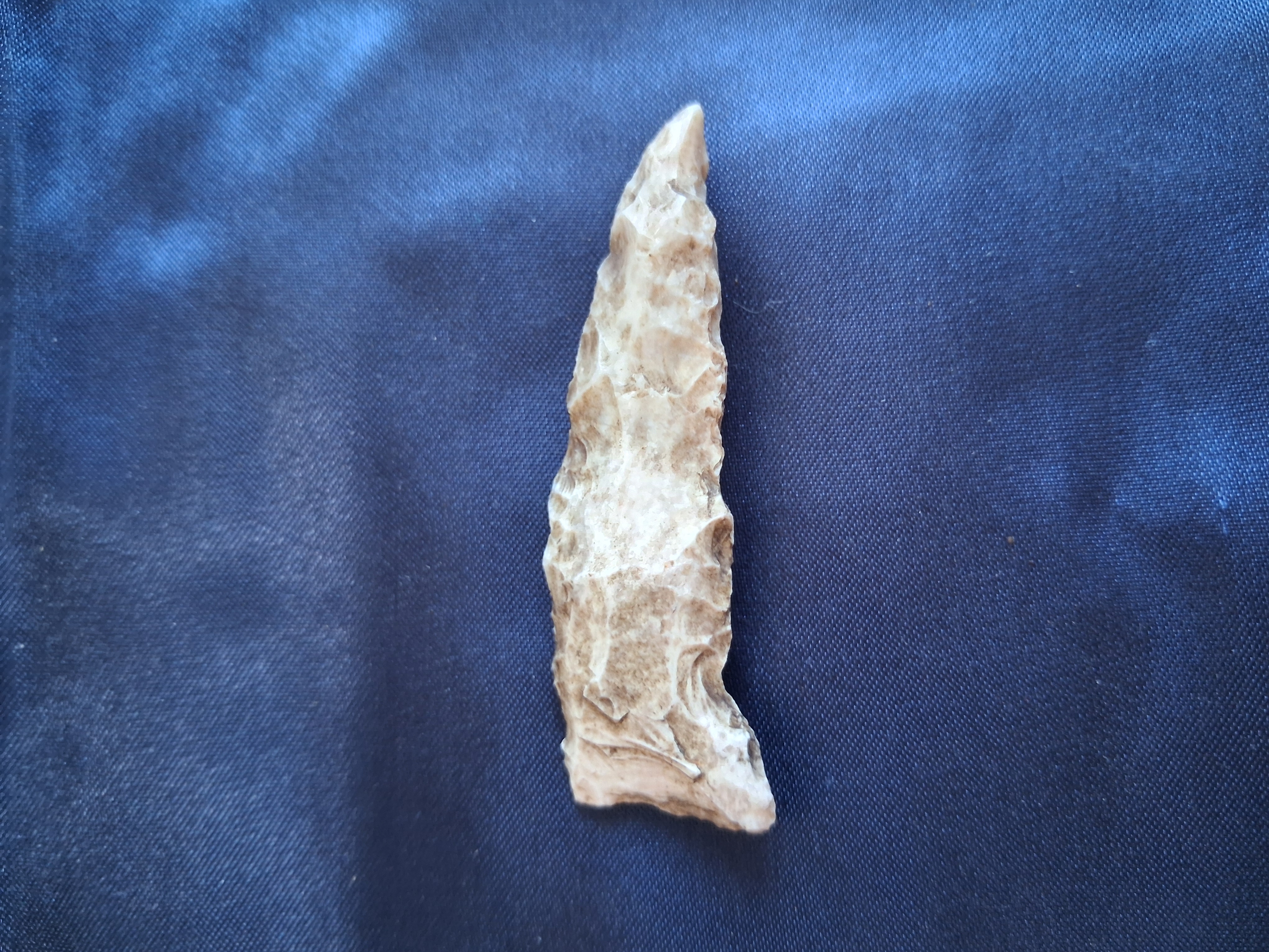 Florida Sife Notched Arrowhead